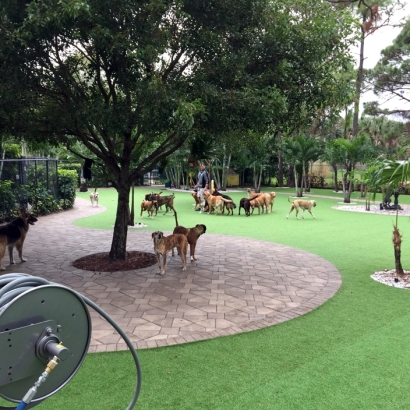 Artificial Grass in Nueces County, Texas