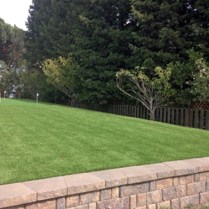 Artificial Turf in Frio County, Texas