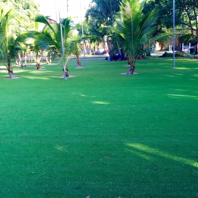 Artificial Grass in Fort Hood, Texas