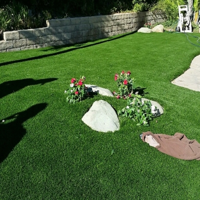 Artificial Turf in Highland Haven, Texas