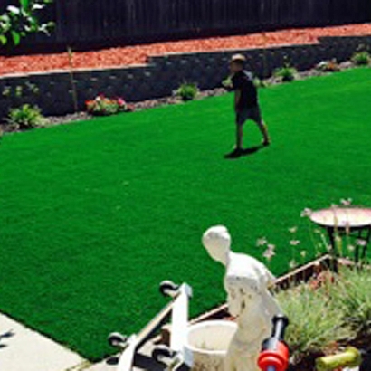 Synthetic Grass in Cottonwood Shores, Texas