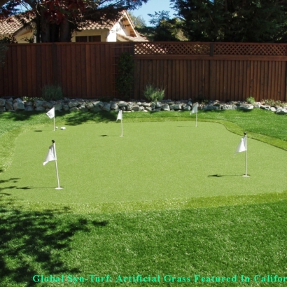 Synthetic Grass in Los Altos Colonia, Texas