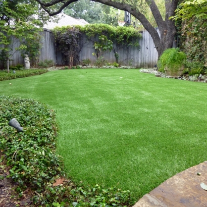 Fake Grass in Willacy County, Texas