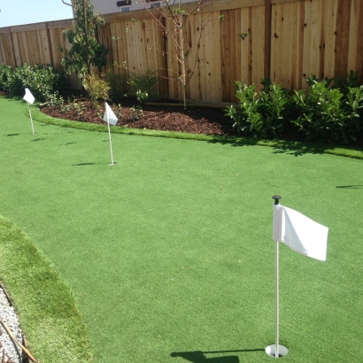 Backyard Putting Greens & Synthetic Lawn in Socorro Mission Number 1 Colonia, Texas