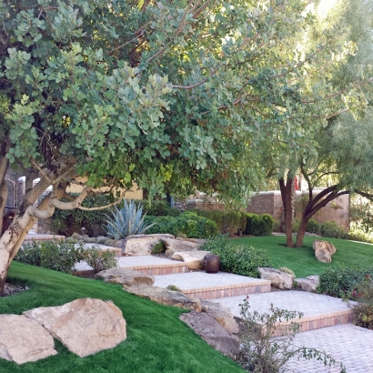 Fake Grass in Jonestown, Texas - Better Than Real