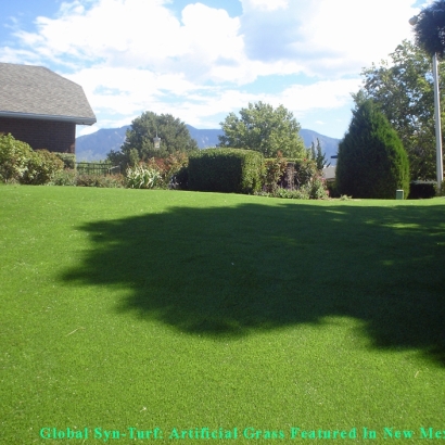Putting Greens & Synthetic Lawn in Arlington, Texas