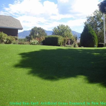 Artificial Turf in Tarrant County, Texas