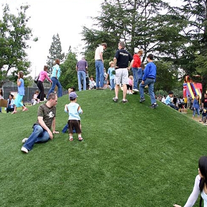 Plastic Grass Center, Texas Home And Garden, Parks