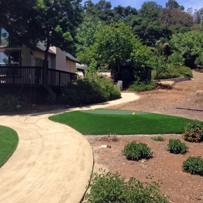 Artificial Grass in Trinity, Texas