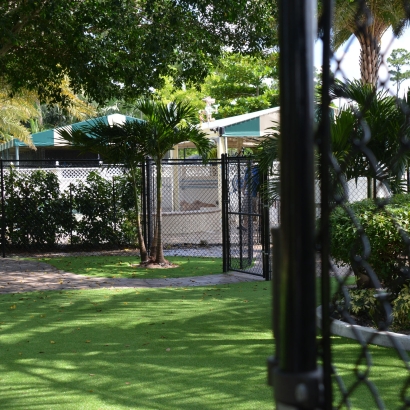 Fake Grass for Yards, Backyard Putting Greens in Oak Valley, Texas