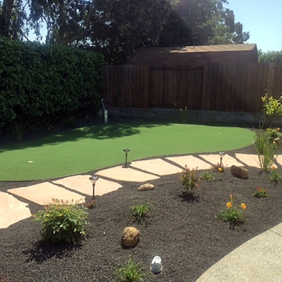 Synthetic Grass & Putting Greens in Bluetown Colonia, Texas