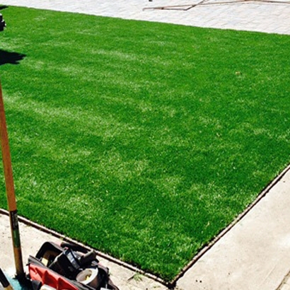 Synthetic Grass in Lopezville, Texas