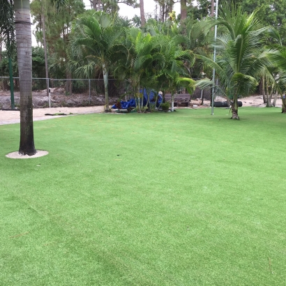 Artificial Grass in Highland Park, Texas