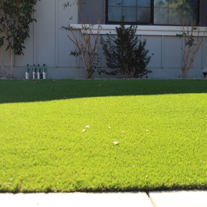 Synthetic Grass in Pasadena, Texas