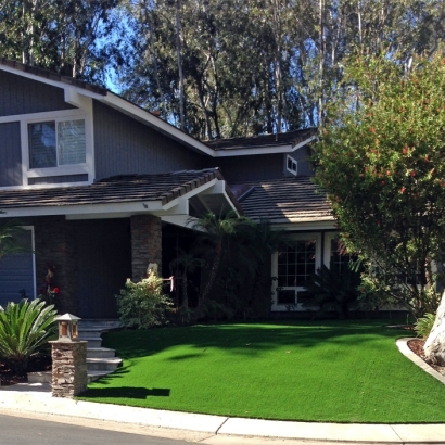 Artificial Grass in Cactus, Texas