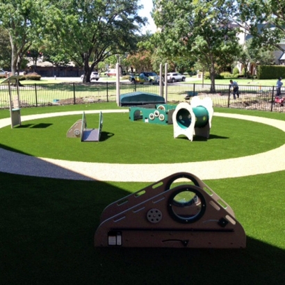 Artificial Grass in Lone Oak, Texas