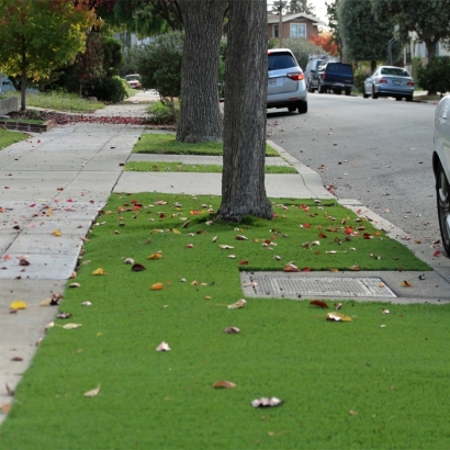 Synthetic Grass & Putting Greens in Port Mansfield, Texas