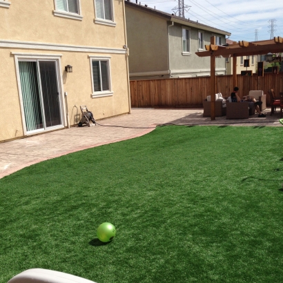 Fake Grass in Pleasant Valley, Texas