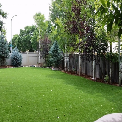 Backyard Putting Greens & Synthetic Lawn in Von Ormy, Texas