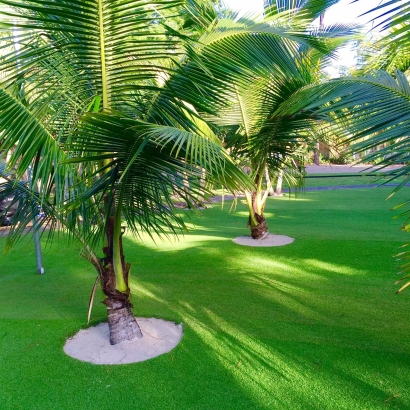 Artificial Grass in Trophy Club, Texas