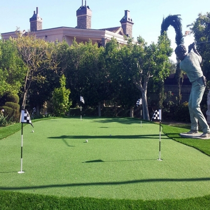 Artificial Grass in Sunnyvale, Texas