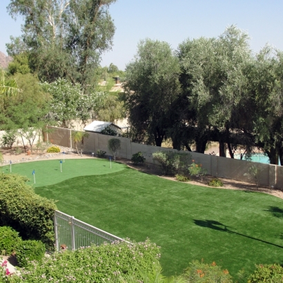 Artificial Grass in Wells Branch, Texas