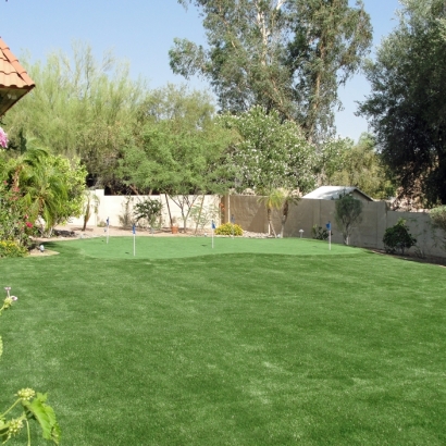 Synthetic Lawns & Putting Greens of Round Rock, Texas