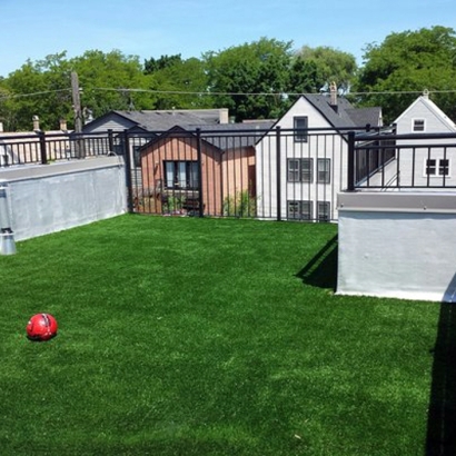 Fake Grass in Sherwood Shores, Texas - Better Than Real