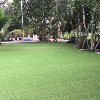 Artificial Turf in Marshall, Texas