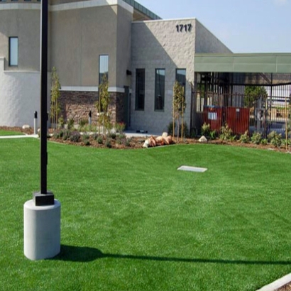 Fake Grass & Putting Greens in South Mountain, Texas