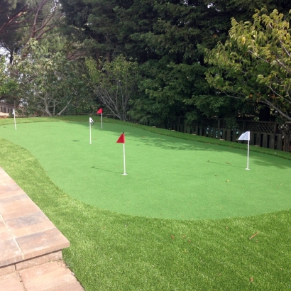 Fake Grass in Salado, Texas