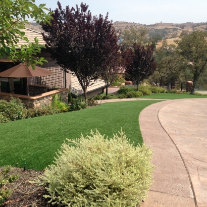 Home Putting Greens & Synthetic Lawn in West University Place, Texas
