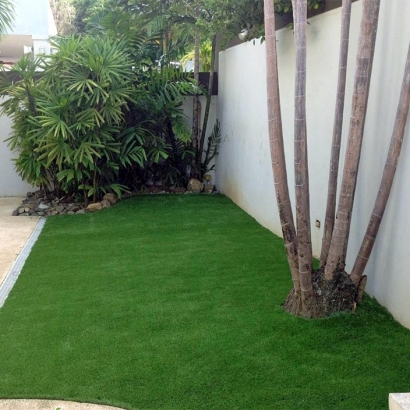 Artificial Turf in College Station, Texas
