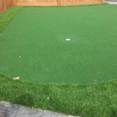 Artificial Turf in Dalworthington Gardens, Texas