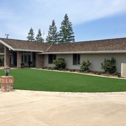 Synthetic Turf in Uvalde Estates, Texas