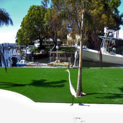 Artificial Turf in Central Gardens, Texas