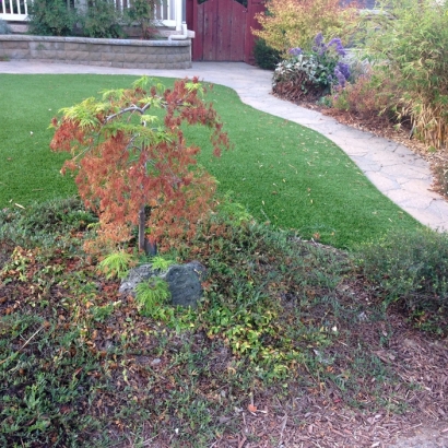 Artificial Turf in Double Oak, Texas