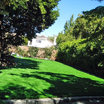 Artificial Grass in Southlake, Texas