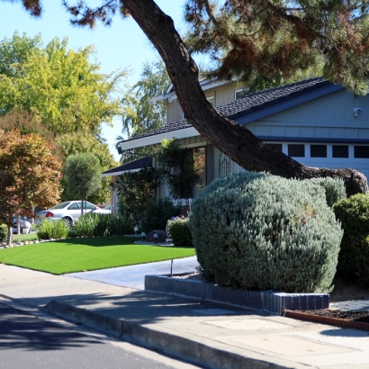 Artificial Grass in Bruni, Texas