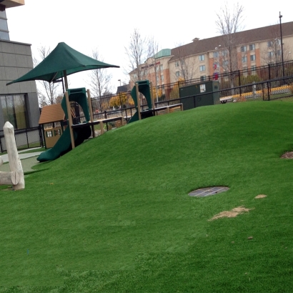 Synthetic Turf Hickory Creek, Texas Roof Top, Commercial Landscape