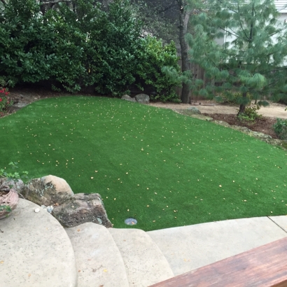 Fake Grass for Yards, Backyard Putting Greens in Walker County, Texas