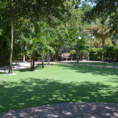 Artificial Grass in Quintana, Texas