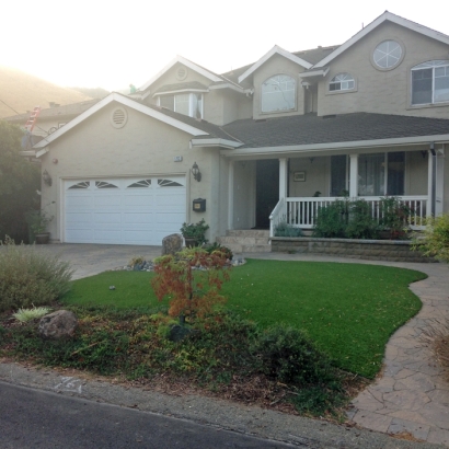 Artificial Grass in Mitchell County, Texas