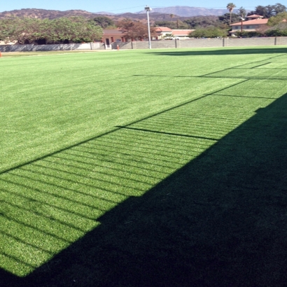 Fake Grass for Yards, Backyard Putting Greens in Pine Forest, Texas