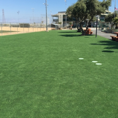 Putting Greens & Synthetic Turf in Bailey Prairie, Texas