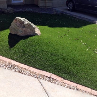 Synthetic Grass in Concho County, Texas