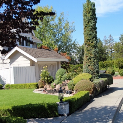 Artificial Grass in Woodloch, Texas