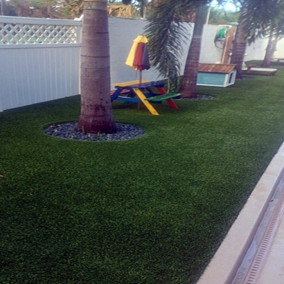 Artificial Turf in Forney, Texas