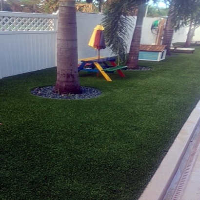 Artificial Grass in Seagoville, Texas