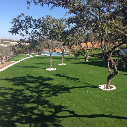 Synthetic Turf Supplier Kennedale, Texas Backyard Putting Green, Natural Swimming Pools